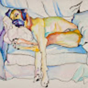 Meet your Posher, Teresa